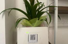 Benvenuti a Casa - Foto 22