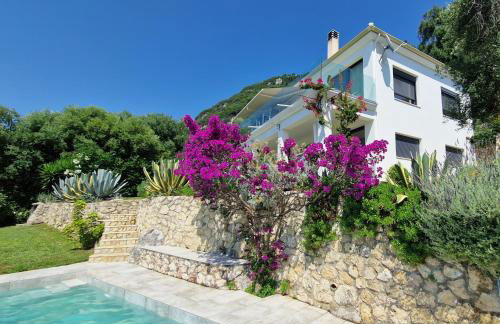 Villa Olivia - Photo 46