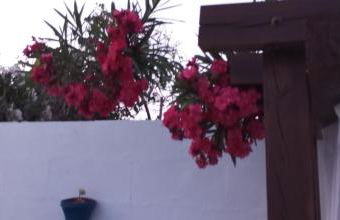 CASA NA ALDEIA - Foto 39