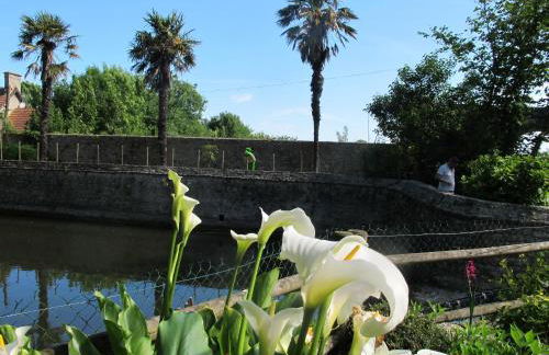 Chateau Le Colombier - Photo 21