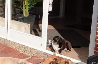 Holiday Home Jadeglück by Interhome - Foto 12