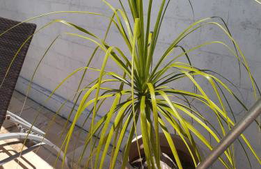 Itaúna saquarema beach house - Foto 38