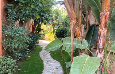 Residencia Martina - Foto 37