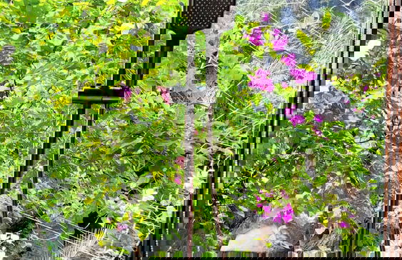 Fairy Mountain Retreat - Foto 78