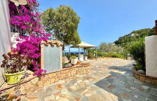 Sea Breeze - Joy Collection - Foto 27