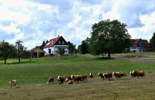 Ferienhaus Nordschwarzwald - Foto 22
