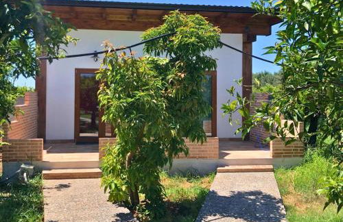 Agriturismo Le terre di zoe' - Foto 9