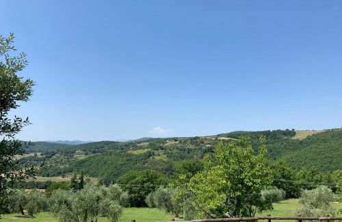 Podere Battegone - Foto 14