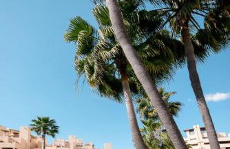 5 Stars BEACHFRONT PARADISE - Seaview, Always Heated Pool, Gym, Sauna! - Foto 30