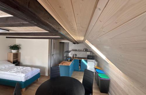 Przystanek IZERY - Foto 2