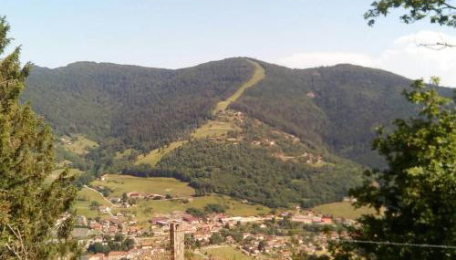Marguerite - Foto 2