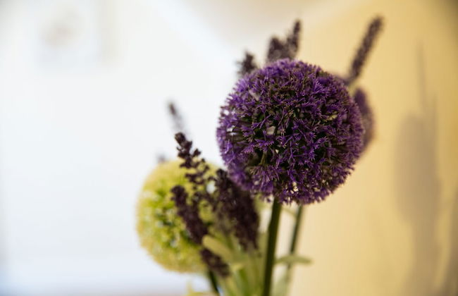 Velvet 2-bedroom Apartment Clock House - Hoddesdon - Foto 38