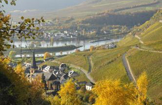 Gästehaus Sehl - Foto 25