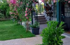 Orange Lemon Garden - Foto 45