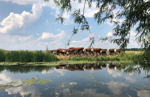 Chestnut Cottage at Gravel Farm - Photo 2