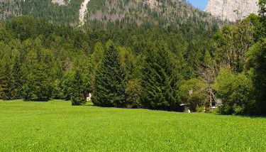 Villa Cecilia mono - Foto 2