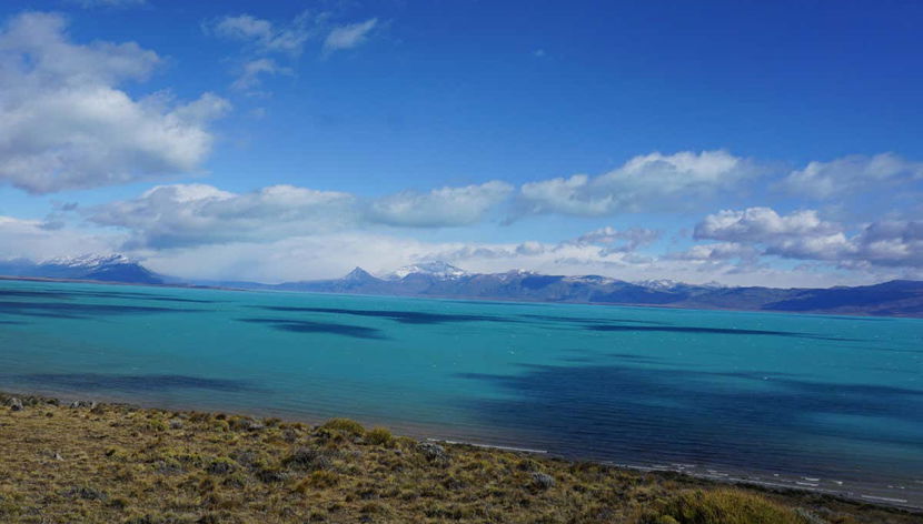 Les moutons de l'Estancia El Galpón