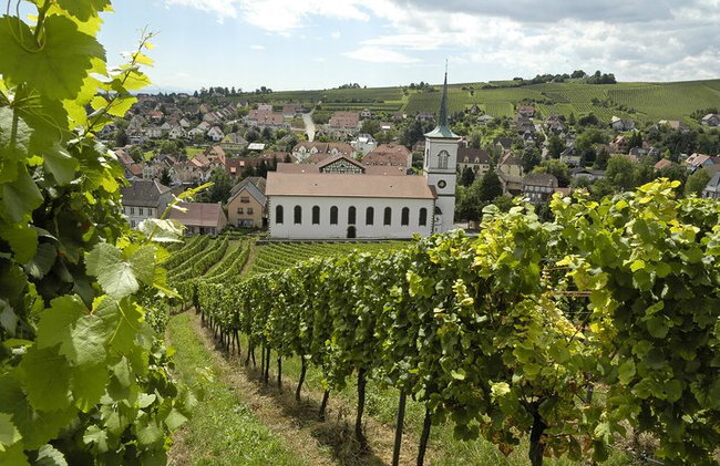 Visita guiada en grupo pequeño a los pueblos locales de Alsacia desde Estrasburgo - Foto 10