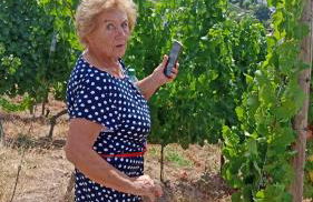 St Maximin Erdgeschoß Lounge - Foto 1