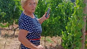 St Maximin Erdgeschoß Lounge - Foto 1