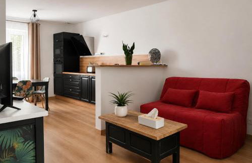 Joli appartement Cosy - Foto 36