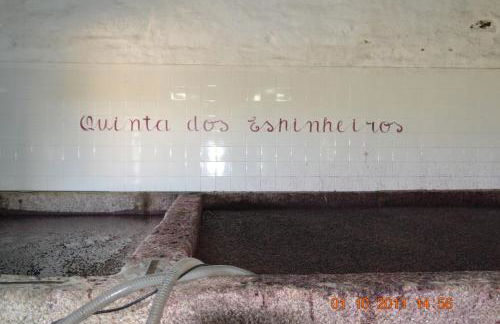 Quinta dos Espinheiros - Foto 39