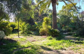 Villa Lago 2 - Photo 10