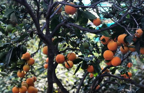 Casa Camino Tamadaba - Foto 53