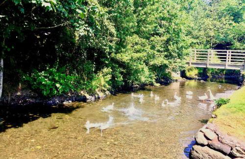 Apple Tree Cottage - Foto 19