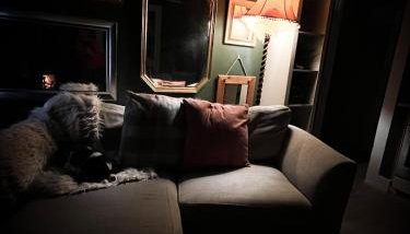 The Nook at Ballyward Croft - Foto 5