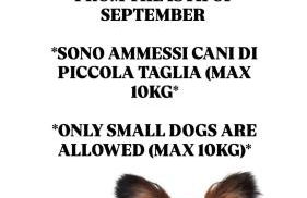 Residence Mediterraneo - Foto 10