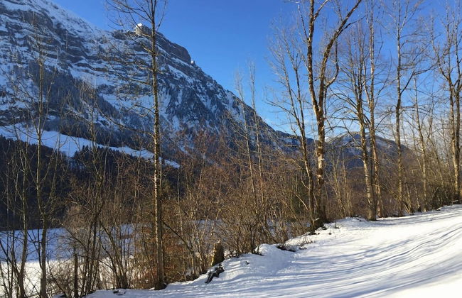 Holiday Home Geser Comfortable Vacation Home - Photo 19