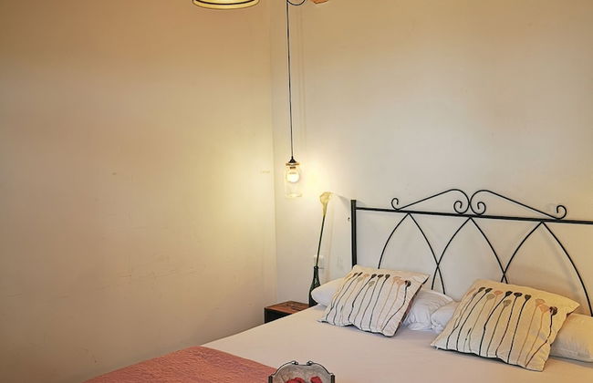 Huerto San Antonio - Foto 8