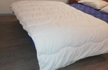 Appartement les chalets d estives - Photo 7