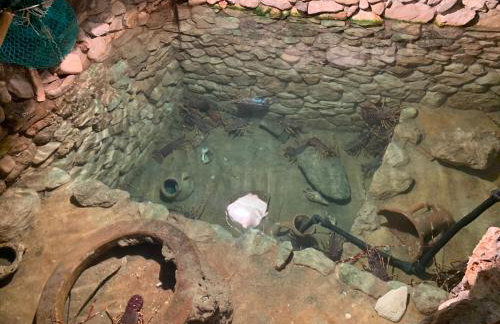 VisitAylinVis - Foto 22