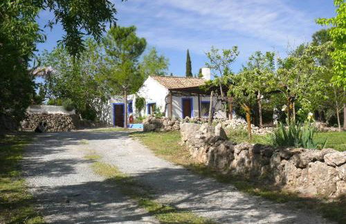 Cortijo Algabia - Photo 50