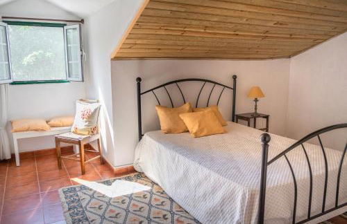 Quinta do Archino - Foto 29