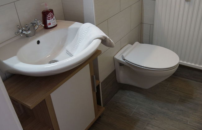 W & S Executive Apartments - Obertraun - Foto 60