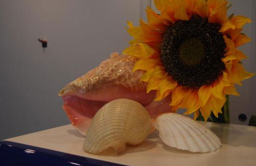 Residence Abruzzo Resort - Foto 42