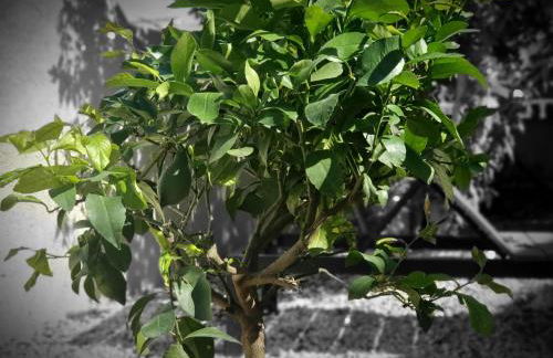 Lieblingshaus mit beheizten Privatpool und Ladesäule - Foto 26