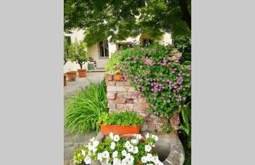 Dimora 1690 - Foto 18