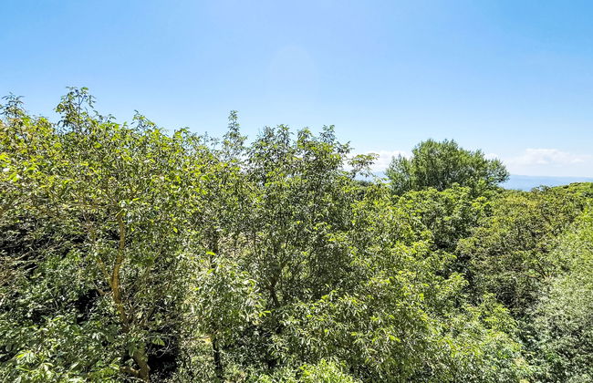 Sambucco (SBO102) - Foto 25