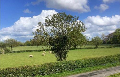 Stunning views, Hot tub, 5 mins to Chester - Photo 61