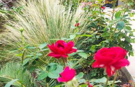 Villa Marina, apartment Hara, Rodos - Foto 10