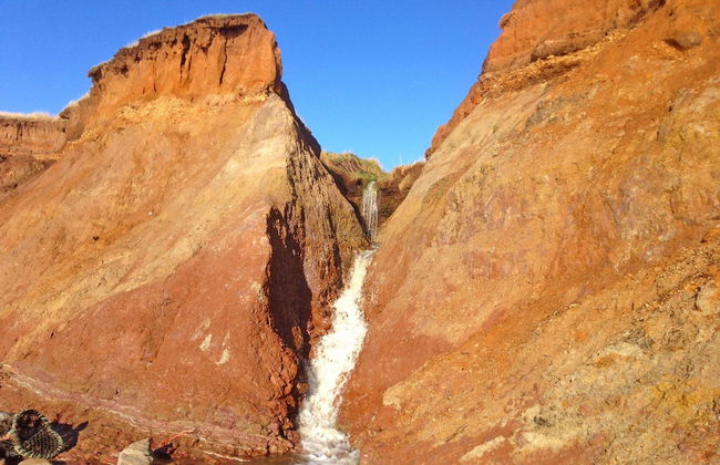 Chale Bay Farm - Photo 25