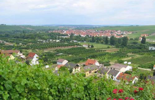 Ferien- und Winzerhof Ute Braun - Foto 31