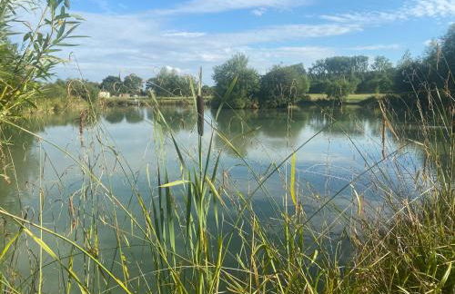 Beech Pod Cabin in Beautiful Surroundings Wrexham - Foto 38