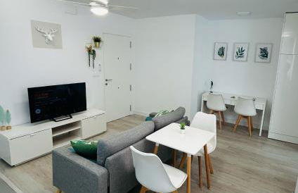 SILVER -Apartamentos Birdie- - Foto 1