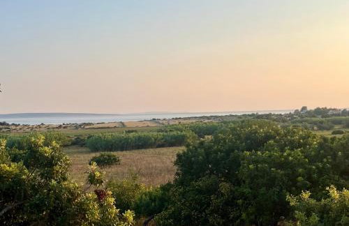 Villa Maslina - Photo 31