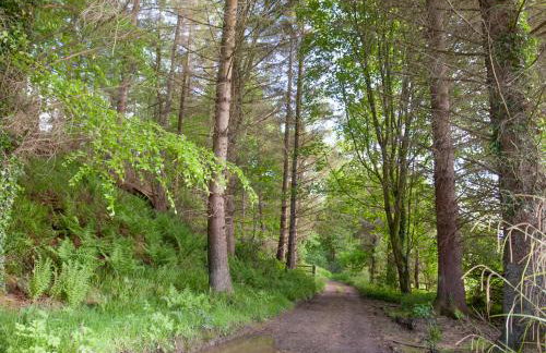 Mr McGregors' Cottage - Photo 20